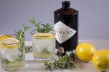 Rosemary Gin Fizz