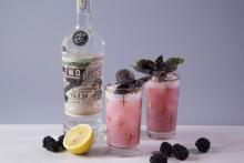 Pomberry Gin Smash