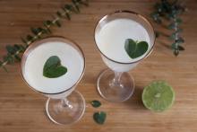 Eucalyptus Martini