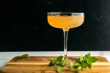 An coupe glass filled with amber liquid, surrounded by a mint leaf garnish.