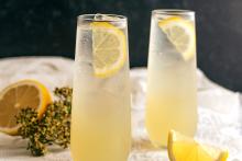 Cucumber elderflower gin fizz cocktails with lemon garnish in tall glasses, sparkling drink photography for Speak Easy Podcast
